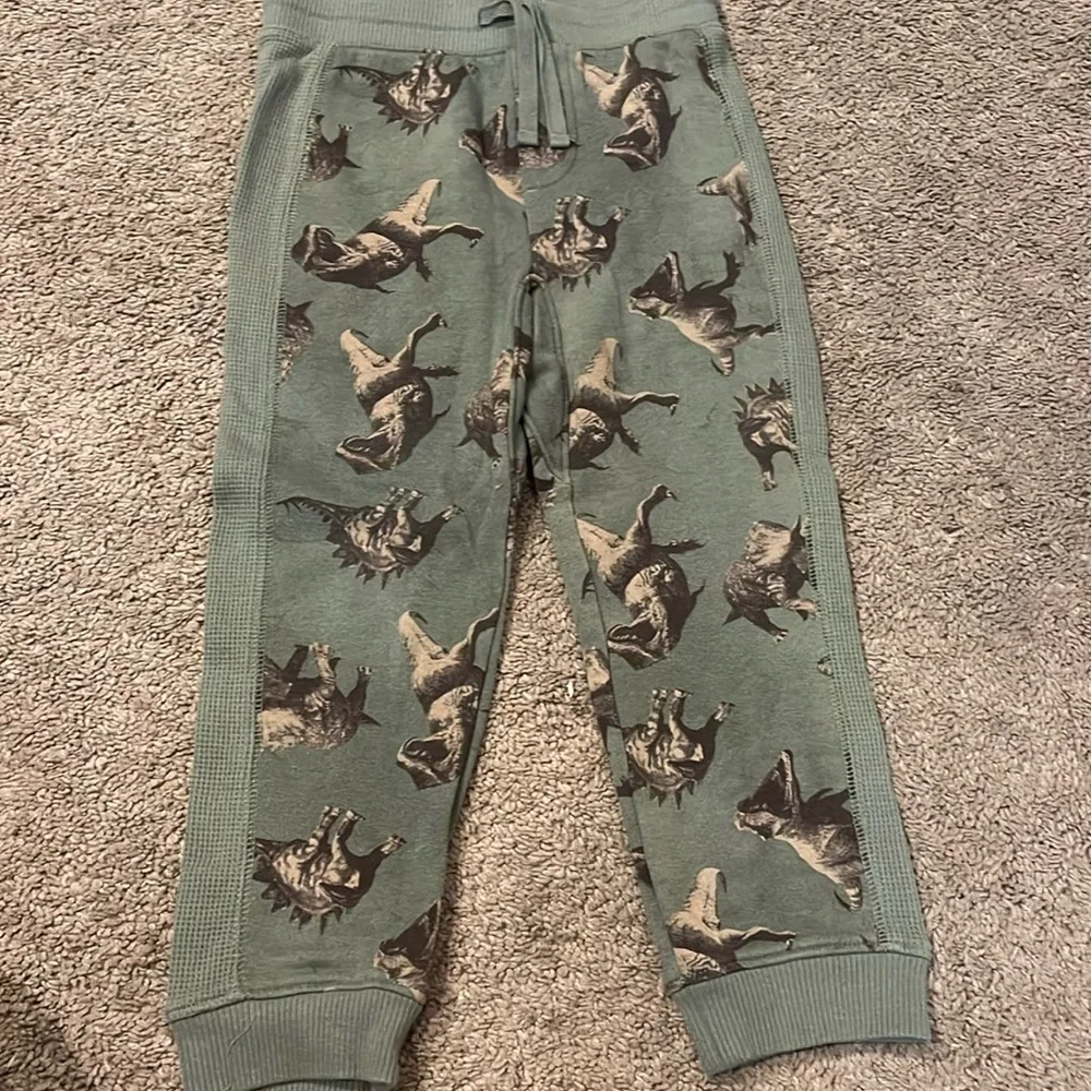 Dinosaur sweatpants and hoodie - Picture 1 of 8